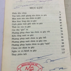 NGHỆ THUẬT THUẦN HOÁ CHIM CU GÁY 447861