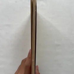 The Way He Lived: The Story of Nguyen Van Troi  786808