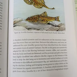 VIETNAM A NATURAL HISTORY - VIỆT NAM LỊCH SỬ TỰ NHIÊN 606041