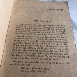 Cánh chim - Dương Đình Hy  1041355