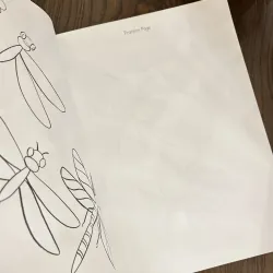 ✨𝑯𝒐𝒘 𝒕𝒐 𝑫𝒓𝒂𝒘 𝑰𝒏𝒔𝒆𝒄𝒕𝒔: 𝑺𝒕𝒆𝒑-𝒃𝒚-𝑺𝒕𝒆𝒑 𝑫𝒓𝒂𝒘𝒊𝒏𝒈𝒔!✨ 712564