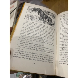 Stories About Animals - Richard Roht 528045