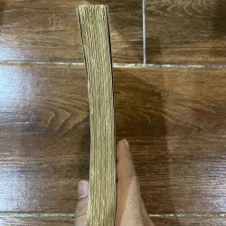 Trong cõi bất diệt  (8) 590726