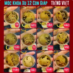 Móc Khóa Đồng Xu Con Hợi Mạ Vàng Treo Oto, Xe Máy Phong Thủy 1013699