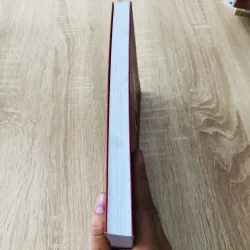 CHÍNH PHỦ CÁCH MẠNG LÂM THỜI CỘNG HÒA MIỀN NAM VIỆT NAM  975817