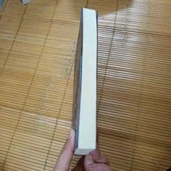 Người Minh Họa - Ray Bradbury 715235