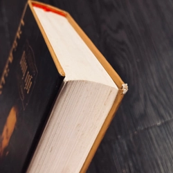 Chàng ngốc (bìa cứng, đọc mô tả) 537181