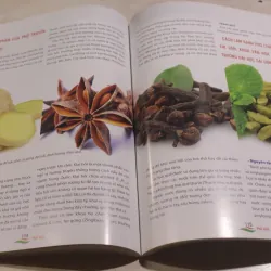 Phở Việt [Sách ảnh] 973727