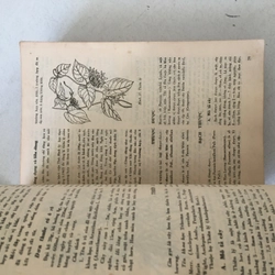 Những cây thuốc và vị thuốc Việt Nam - Đỗ Tất Lợi  (1986) 500075