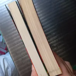 Đại ca 1&2 ( Phần 2 bộ Cậu bé cưỡi rồng) 996945