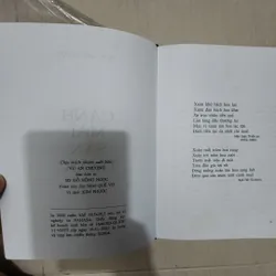 Sách Cành mai sân trước 715553