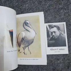 Màu sắc và phương pháp vẽ màu 1004944