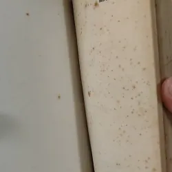 [XƯA] Mẫn Và Tôi (1995) - Phan Tứ 798303