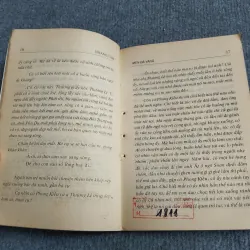 MEN ĐÁ VÀNG - HOÀNG CẦM 701915