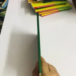 KỸ THUẬT TRỒNG MAI  594922