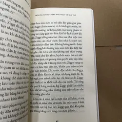 thong dong như chú mèo hóng nắng bên hiên  569514