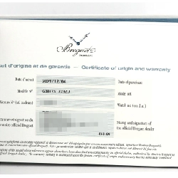 Breguet Type XXI 3817ST/X2/3ZU SS tự động - Hàng hiệu Authentic 882470