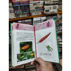 Từ điển tranh về các loại củ quả - Lê Quang Long chủ biên 122461