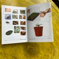 BONSAI TOÀN THƯ- HARRY TOMLINSON 543393