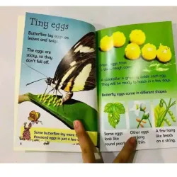 Sách - Usborne Beginners nature 10 cuốn full boxser, full color, usborne nature 1034037