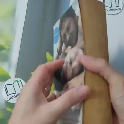 P.S. I Love You - Cecelia Ahern 1027509