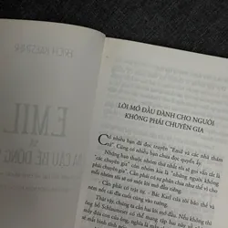 Emil và ba cậu bé đồng sinh - Erich Kaestner 1065189