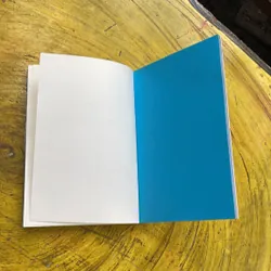 NHẶT BÓNG NGƯỜI- VŨ THANH LỊCH 689654