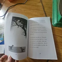 Act normal and don't tell anyone about the dinosaur in the garden 739577