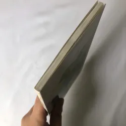 Bước Về Phía Mặt Trời - Nguyễn Luân 734581