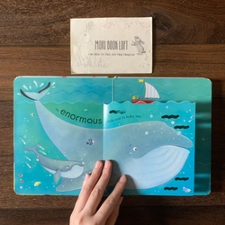 Sách ngoại văn Peep Inside The Sea - M.ấ.t Flap trang 1,3, miếng lật cũ, Used 540734