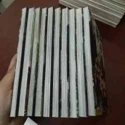 CÔ DÂU PHÁP SƯ  - YAMAZAKI KORE ( THANH TRÀ DỊCH) 1013443