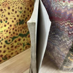 Bình Giảng Thơ Đường - Nguyễn Thị Bích Hải 934292