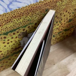 Hiệu Ảnh Nishiura - Mikami En 925859