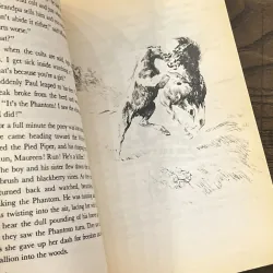 Misty of Chincoteague 972859