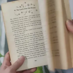 The Magic Faraway Tree - Enid Blyton 1033612
