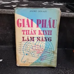 Giải phẫu thần kinh lâm sàng  1020415