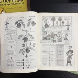 Combo 3 cuốn sách khoa học cho bé mê khám phá 926082