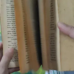 [MIỄN PHÍ BỌC SÁCH] [XƯA] Lady Oracle (1999) - Margaret Atwood 1027590