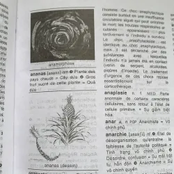 Từ điển Pháp-Pháp-Việt, 350 ngàn mục từ, Lê Phương Thanh  1026818