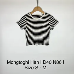 Áo Mongtoghi Hàn Hiệu Flutter Fit < 55Kg