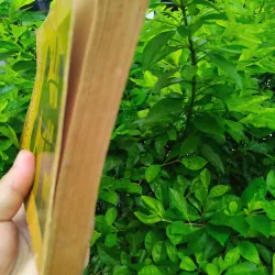 Vật lý tiến hóa luận của Albert Einstein và Leopold Infeld  1001250