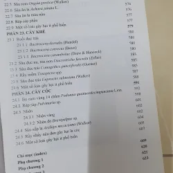 CÔN TRÙNG NHỆN GÂY HẠI CÂY ĂN TRÁI....  799628