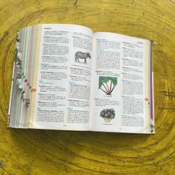 DICTIONNAIRE HACHETTE JUNIOR CE-CM 8-11 ANS 697410