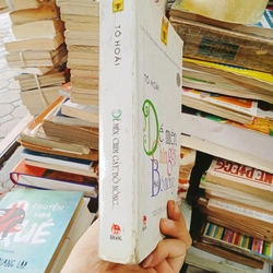 Dế Mèn, Chim Gáy, Bồ Nông....-Tô Hoà 458296