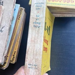 Tử vi tổng hợp - Nguyễn Phát Lộc 591874