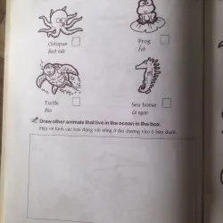 Cùng khám phá tiếng anh - Môi trường Sống - 3A 1004065