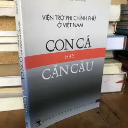 Viện trợ phi chính phủ ở Việt Nam: Con cá hay cần câu