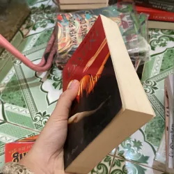 Bà Mụ  (tên tiếng Anh: Midwives) của tác giả Chris Bohjalian.   1001115