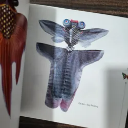 Diều Trung quốc | tôn bỉnh sơn | in màu 737701