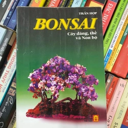 Bonsai
Cây dáng, thế và non bộ
